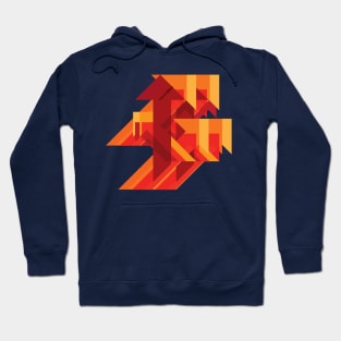 Funky Little Arrows Hoodie